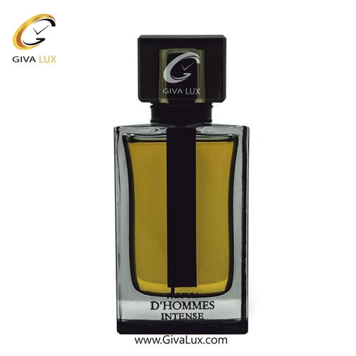   Fragrance World D'hommes Intense.jpg